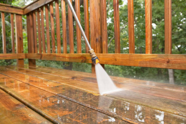 Best Deck Cleaning Services  in Channel Lake, IL